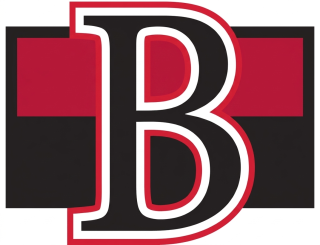 BSens